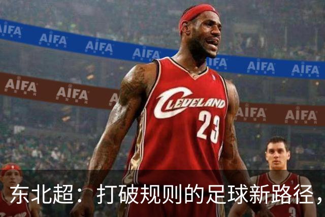 东北超：打破规则的足球新路径，苏超的启示与挑战！